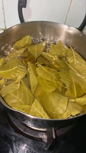 Daun Jambu Biji Segar – 50 Lembar Segar dari Kebun