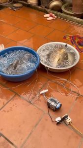 bộ Máy Sủi Điện 6 đầu vòi - Hailea ACO-318 (35w - 220v) + 6 quả sủi + 12m dây Dành Cho Bể Cá Cá/Hồ Cảnh máy thổi oxy cho hồ bể cá 35w máy sục oxy máy sục khí bể cá mini máy sục