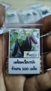 200 เมล็ด มะเขือยาวลิงมั๊งกี้ เมล็ดมะเขือยาวลิงมั๊งกี้ เมล็ดมะเขือยาว มะเขือยาว เมล็ดมะเขือลิงมั๊งกี้ มะเขือลิงมั๊งกี้ เมล็ดมะเขือลิง มะเขือลิง