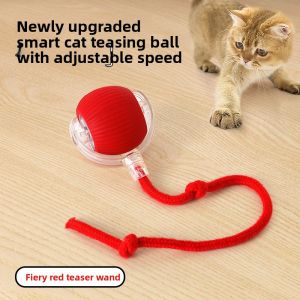 VOA | Interactive Smart Pet Ball & Cat Teaser Toy