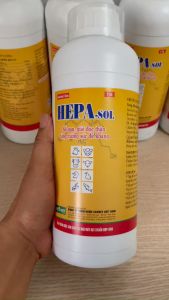 Hepasol(1lit) Bổ gan giải độc tăng sức đề kháng dùng trong Thú Y