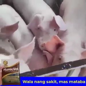 50g Humicvet Repacked - Original Super Growth Booster Vitamins Supplement Feed for Pigs Chickens Fish Dogs Pets -ICE