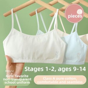 Besee | Developmental Stage One Two Girls Youth Bra