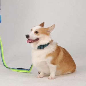 HamshMoc สายจูงสุนัขสายจูงสัตว์เลี้ยง มีคลิปแบบหมุนได้ที่จับสบายสีไม่พันกันเดินกลางแจ้ง