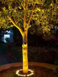 IP65 Waterproof Outdoor Tree Lights - LED Spotlight for Patio Garden Yard Landscape Decor