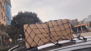 Heavy Duty Car Cargo Net: A Comprehensive Guide