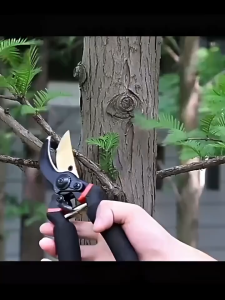 KS Fitness SK5 Garden Pruning Shears High Carbon Steel Pruner Tree Trimmer Sharp Branch Shears Cutter Plant Scissors Garden Tools