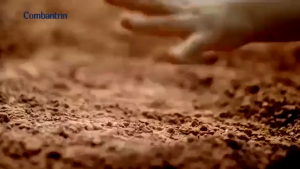 Combantrin Tablet 125mg 1strip 2 TABLE Obat Cacing