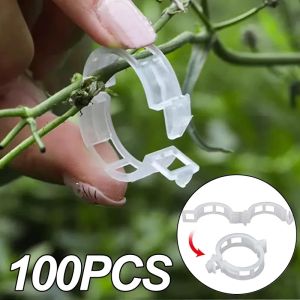 Plastic Plant Support Clips Reusable Vegetable Tomato Vines Protection Plant Clips Holder Grafting Fixing Tools Garden Supplies