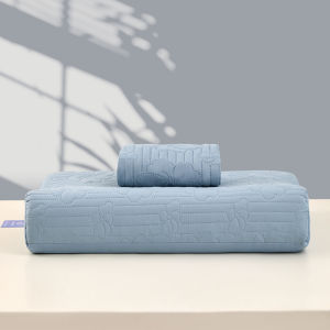 JIFANPAUL | Antibacterial Dust Mite Resistant Memory Foam Pillowcase Set