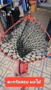 ตะกร้อสอยผลไม้ #สอยมะม่วง #สอยมะปราง