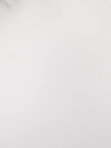 Chamomile Hand Cream Nature Coriender Chamomile Hand Lotion 200ml