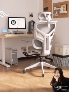 Ergonomic Office Chair