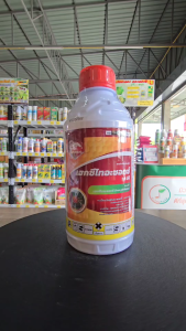 เฮกซี่ไทอะซ๊อก(ตราสิงห์ผยอง) ป้องกันกำจัดไรศรัตรูพืช ได้ทั้งตัวแก่และตัวออ่อน ถูกตัวตาย กินตาย ป้องกันการฟักไข่ ออกฤฤทธิ์นาน จึงทำให้ป้องกันการแพร่ระบาดได้นาน