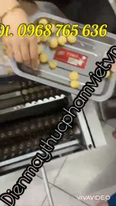 Máy vo viên tễ máy làm viên hoàn mềm cỡ lớn đường kính viên 16/19/23mm