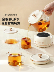 CECON | Portable Glass Teapot Single-serving Kettle for Office Use