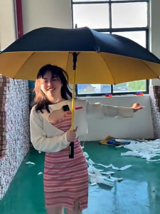 Large Automatic Umbrella 24 Ribs Double Layer Windproof Anti-UV Sunscreen Long Handle Rain Umbrella