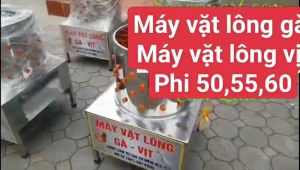COMBO 30 Núm Vặt Lông GàVịt Hàng VIỆT NAM