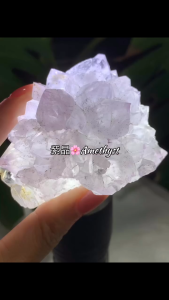 Lavender Amethyst Flower 🌸 Amethyst Translucent raw crystals 💡 薰紫晶花🌸Amethyst 裸晶透光💡 小钛晶母矿共生