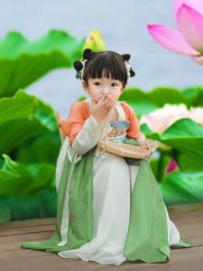 Elegant Ancient Chinese Hanfu Dress for Girls Long Sleeve Chest Length Super Fairy Tale Style Baby Girls Traditional Costume