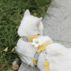 Hadassah | Anti-escape Adjustable H-shape Chest Harness Lead for Small Dogs and Cats