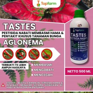 Obat Semprot Hama Daun Bunga / Obat Penyubur Bunga Aglonema / Obat Bunga Aglonema / Obat Hama Kutu Tanaman Bunga / Obat Hama Bunga Aglonema