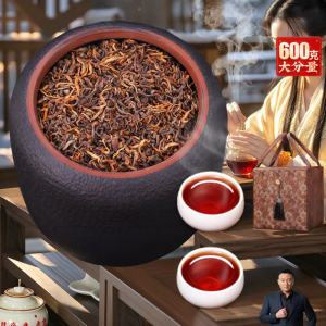 DIANPINHAO | Premium Yunnan Aged Puer Tea 20 Year Vintage