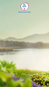 MY BABY Minyak Telon Plus - Minyak Bayi Anti Nyamuk 8 Jam