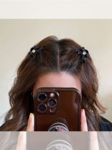 2025 New Tea Flower Butterfly Knot Hair Clip Small Grab Clip Princess Forehead Bangs Clip Side Clip Travel Hair Accessories