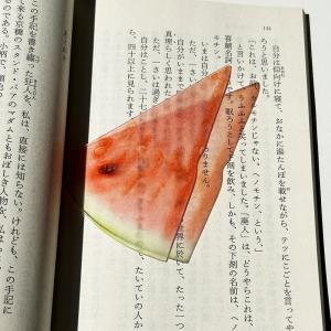 Creative Fruit Acrylic Bookmark Aesthetic Translucent Watermelon Orange Book Mark Ins Style Page Marker Gift for Reader Kids
