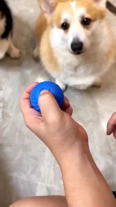 Smart Dog Toy Ball Automatic Moving Bouncing Rolling Ball for Small Medium Dog Cat Toy USB Rechargeable Dog Ball