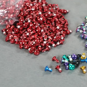 12Pcs T25 Disc Bake Bolts / Baut Cakram Sepeda Rotor / Bolt Piringan Sepeda