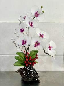Chậu hoa lan hồ điệp cao 45cm