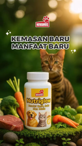 NOVAMOS Vitamin Bulu Suplement Nutrisi Bikin Lebat Stop Rontok Kulit Sehat Mata Cerah - Nutriglow
