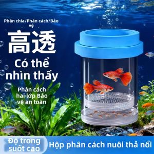Peacock Fish Reproduction Isolation Breeding Box