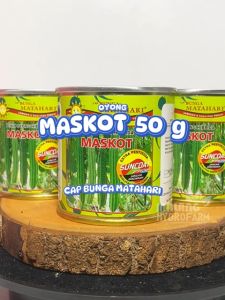 Benih Gambas Maskot Cap Bunga Matahari: Tanam, Tumbuh & Hasil Melimpah