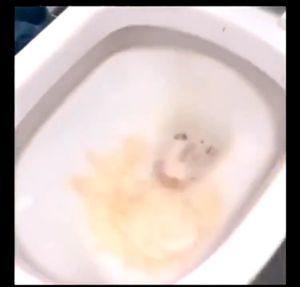 Toilet Drainage Pipe Clogged Remover Toilet Bowl Sink Remover For Floor Drains Sinks Toilets Bathtubs