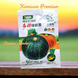 (KEMASAN PREMIUM) BIJI | BENIH TANAMAN LABU KABOCHA HIJAU JEPANG (-+19 Butiran)