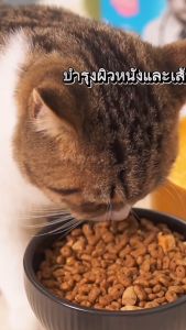 MR.VET อาหารแมว Holistic ถุงฟ้า ขนาด 1 กก