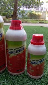 Suplement Tanaman Kalium Cair Kalinet Fase Generatif