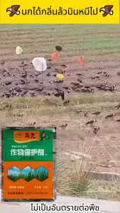 🦜10 ปีไม่มีนก🦜ไล่นก ไล่นกพิราบ เครื่องไล่สัตว์ ไล่นกได้ทุกชนิด ปกป้องพืชผล ปกป้องต้นไม้ ผลไม้ของคุณ นกหายทันทีหลังใช้ ไล่นก มีผล100% สารสกัดจากพืชปลอดภัย ไม่เป็นอันตราย ผลที่ยาวนาน