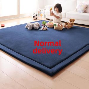 MOLORE | Multifunctional Coral Fleece Rug