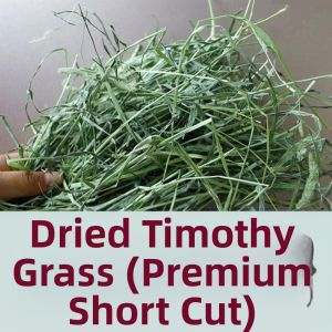 FEIZHUXIANSEN | Dried Premium Timothy Hay Pet Food 500g