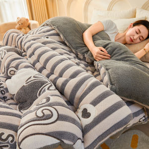 MOLORE | Warm Double-sided Flannel Comforter Single Size