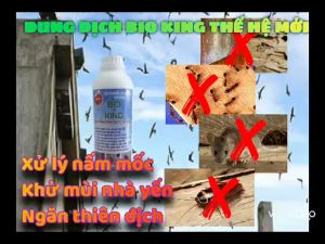 CHỐNG NẤM MỐC GỖ NHÀ YẾN THẾ HỆ MỚI - DUNG DỊCH BIO KING -  DÙNG CHO NHÀ NUÔI CHIM YẾN