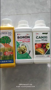 BỘ 3 ĐẬU TRÁI SẦU RIÊNG-BORON PHÁP-CANXI PHÁP-F95-400l nước