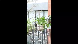 Wisell ที่แขวนกระถางต้นไม้แบบเหล็ก ที่วางกระถางดอกไม้แบบแขวน flower stand