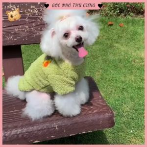 Áo nỉ lông thêu họa tiết trái cây cho thú cưng áo cho chó mèo mùa đông