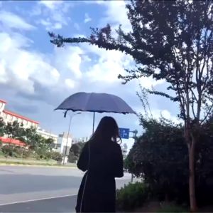Magic Folding Sun Rain Windproof Flowering Umbrella umbrella cover UV Protection.