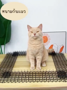 ที่ไล่แมว หนามกันแมว แผงกันแมว ไล่แมว หนามไล่แมว ไล่แมวไม่ให้ขั้นรถ หนามไล่สุนัข ปลอดภัย